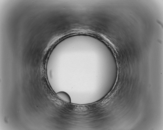 X0000095521215200712140902
