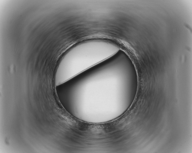 X0000095521217200712140902