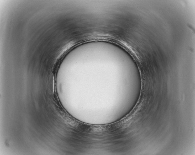 X0000095521219200712140902