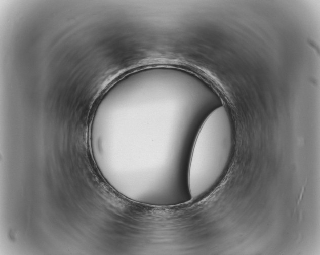 X0000095521220200712140902