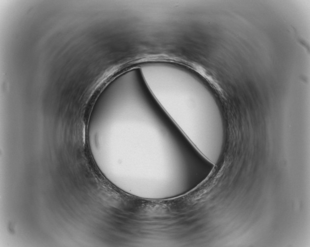 X0000095521221200712140902