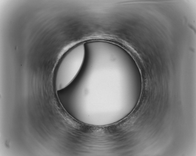 X0000095521222200712140902