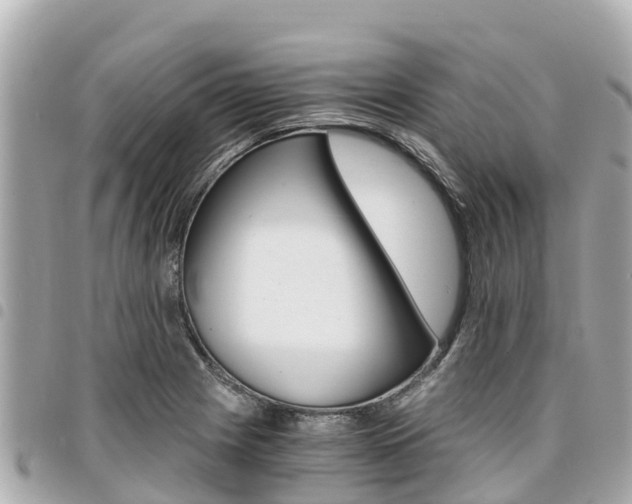 X0000095521225200712140902