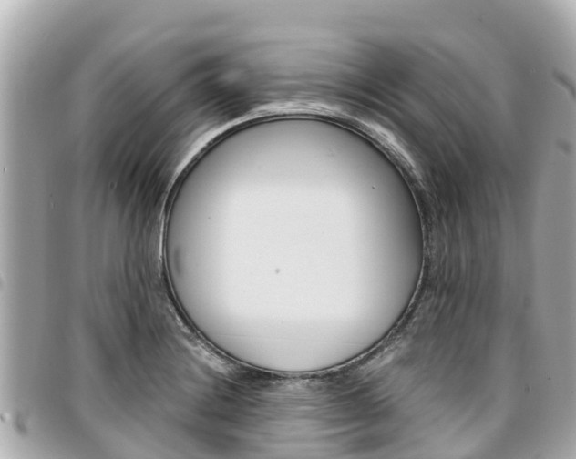 X0000095521228200712140902