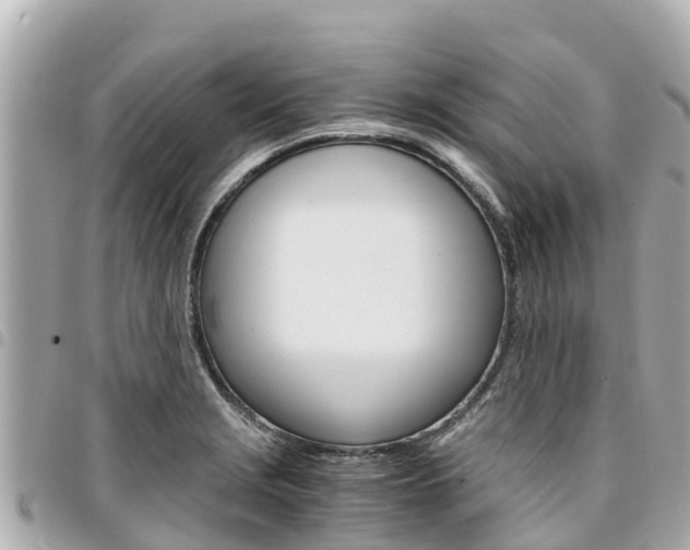 X0000095521229200712140902