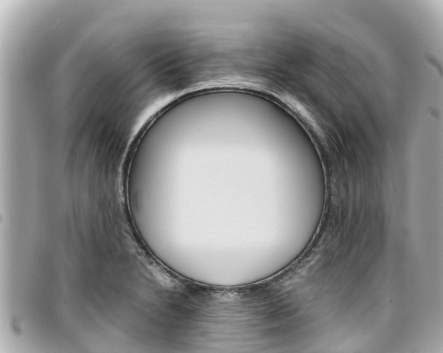 X0000095521230200712140902