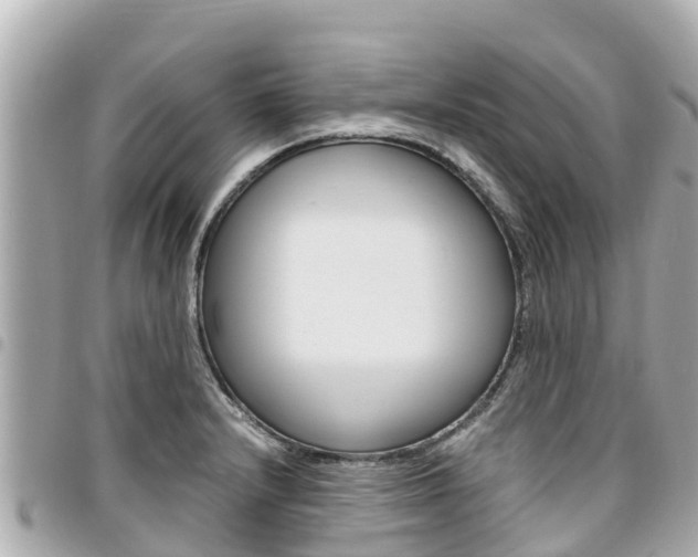 X0000095521232200712140902