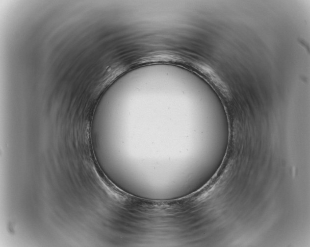 X0000095521233200712140902