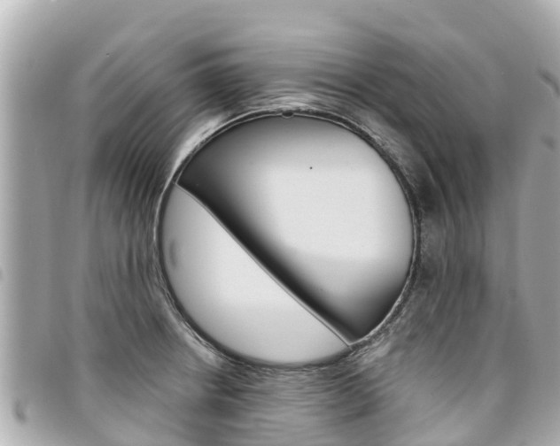 X0000095521234200712140902
