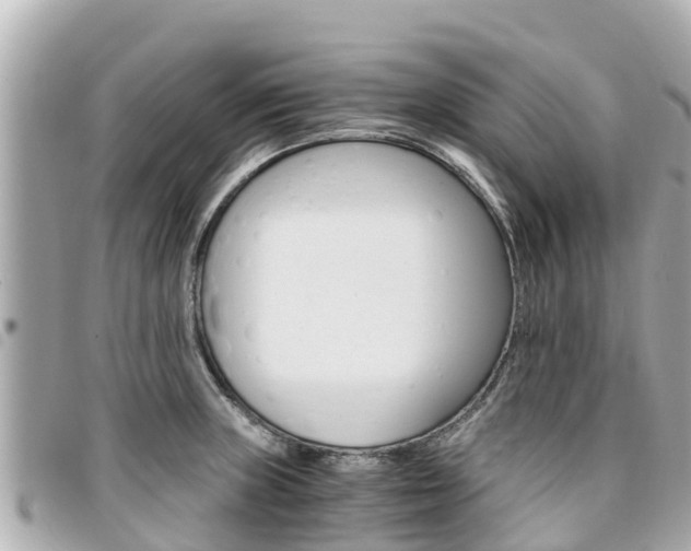X0000095521235200712140902