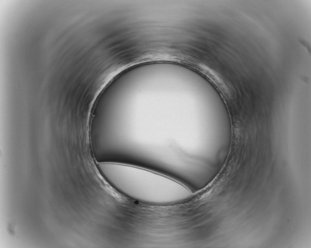 X0000095521236200712140902