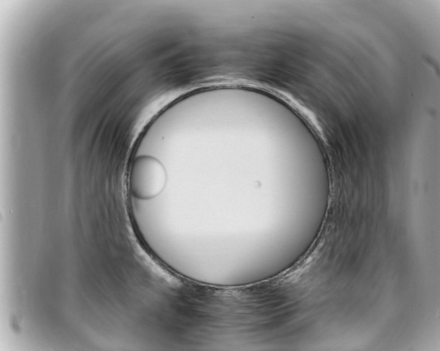 X0000095521239200712140902