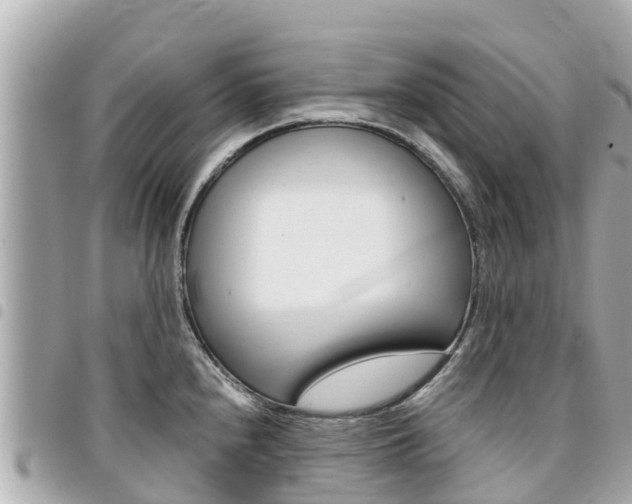 X0000095521240200712140902