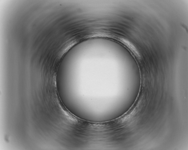 X0000095521241200712140902