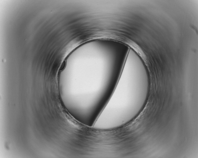 X0000095521242200712140902