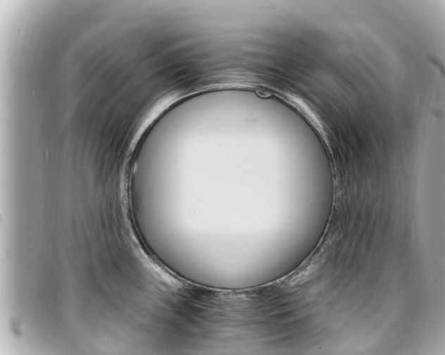 X0000095521243200712140902