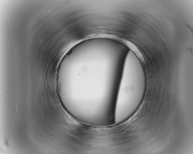 X0000095521244200712140902