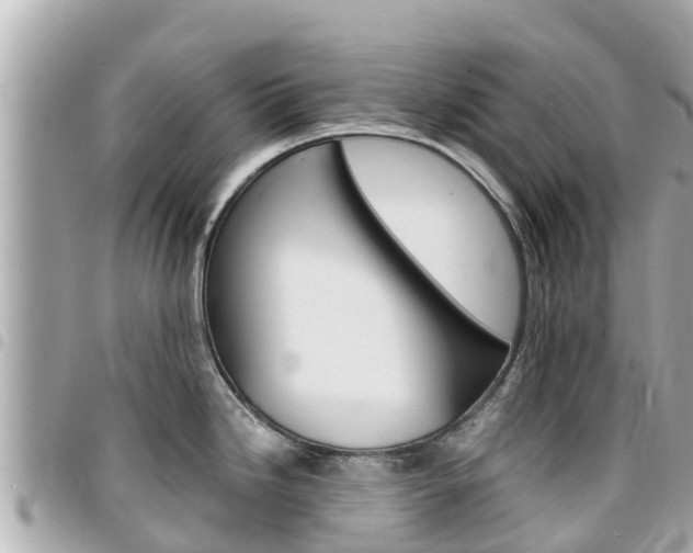 X0000095521246200712140902