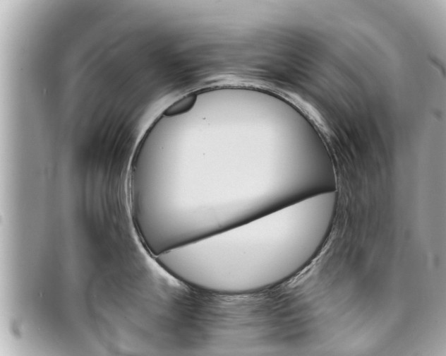 X0000095521247200712140902