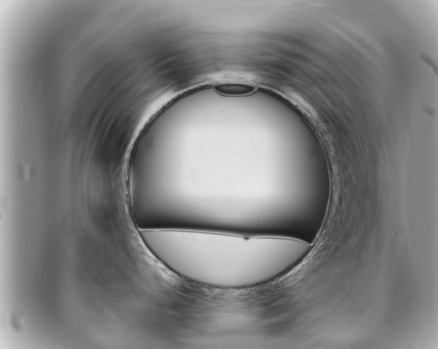 X0000095521248200712140902