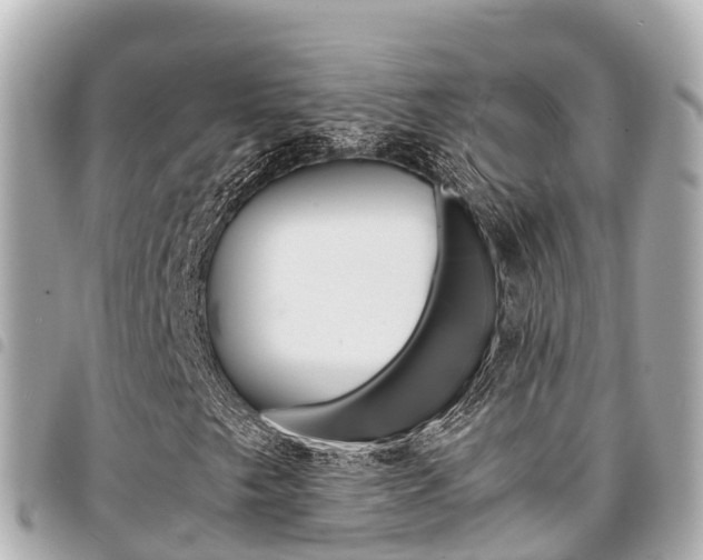 X0000095521249200712140901