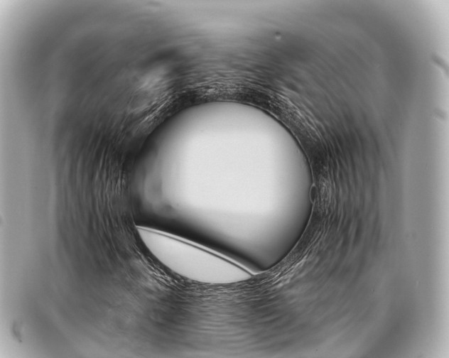 X0000095521250200712140901