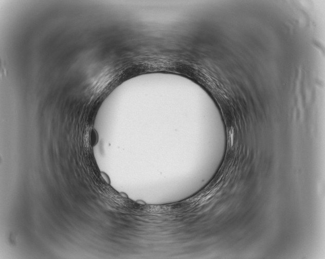 X0000095521251200712140901