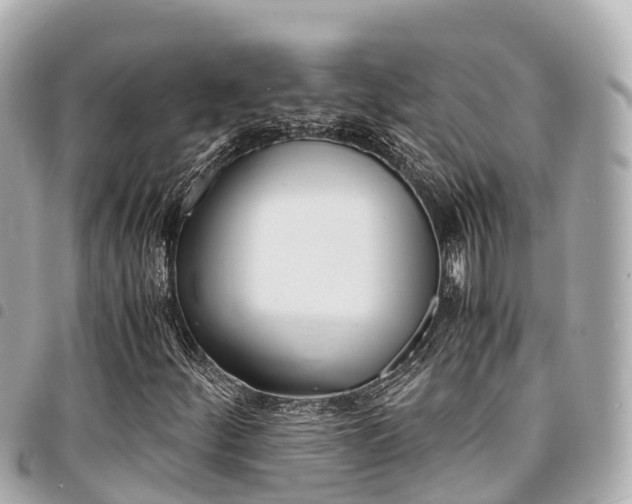 X0000095521252200712140901