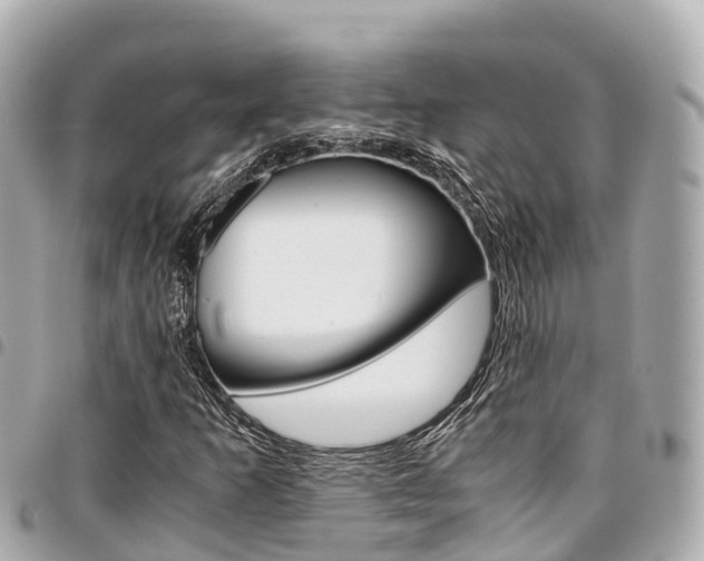 X0000095521253200712140901