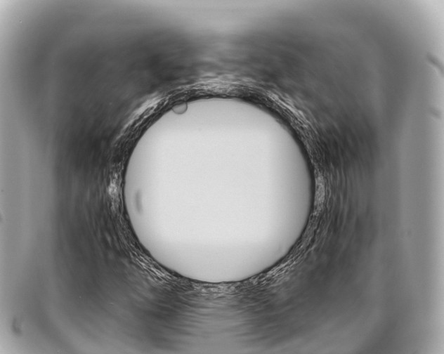 X0000095521254200712140901