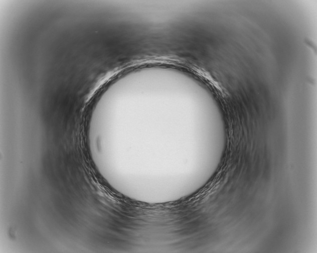 X0000095521256200712140901
