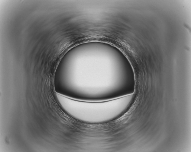 X0000095521257200712140901