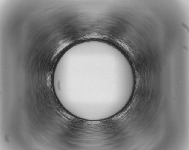 X0000095521258200712140901