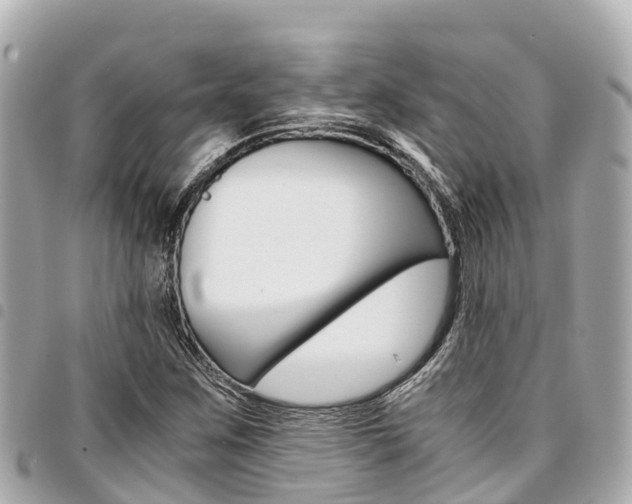 X0000095521259200712140901