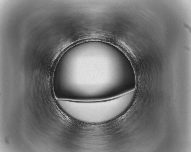 X0000095521260200712140901