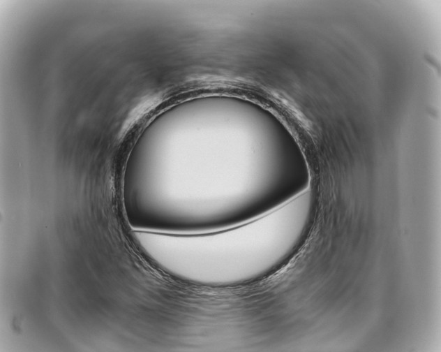 X0000095521261200712140901