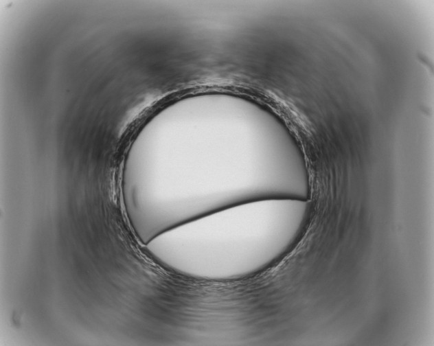 X0000095521262200712140901