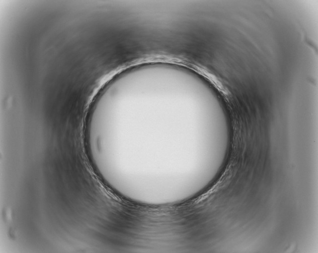 X0000095521264200712140901