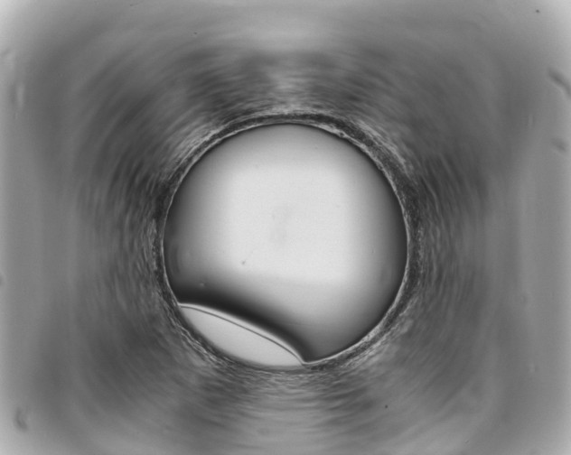 X0000095521265200712140901