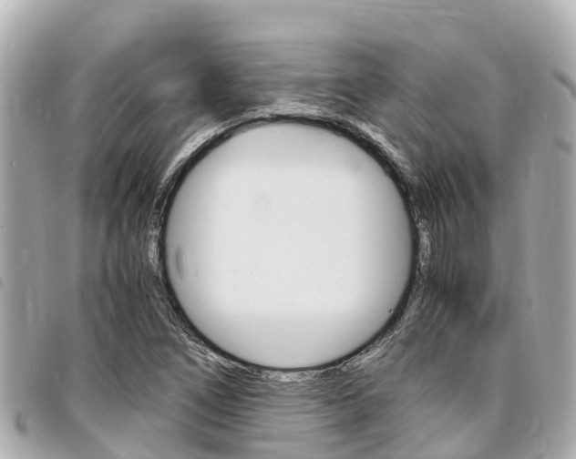X0000095521266200712140901