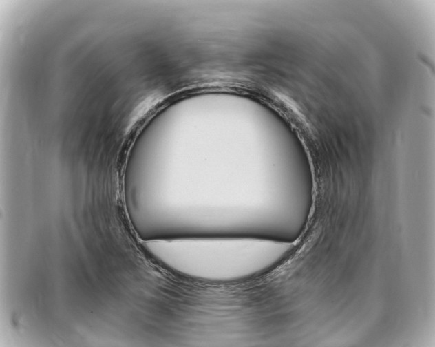 X0000095521267200712140901