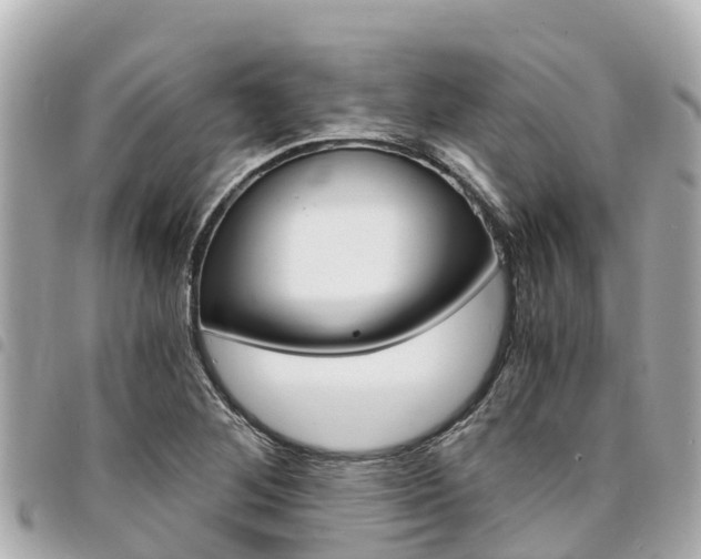 X0000095521268200712140901