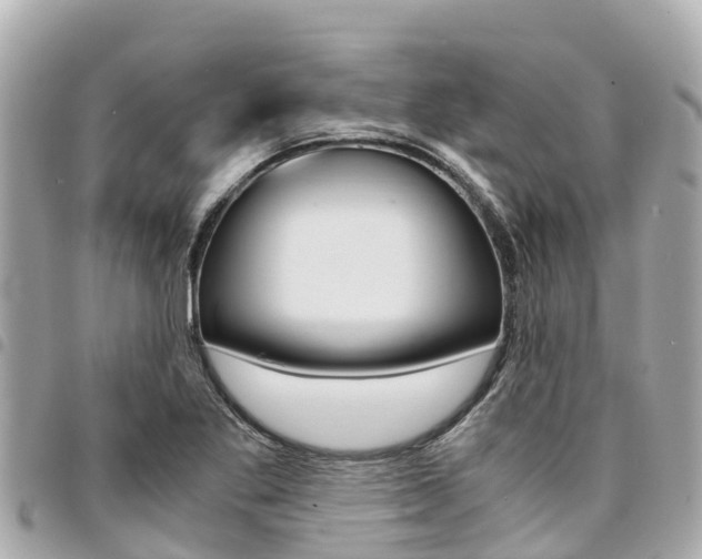 X0000095521269200712140901