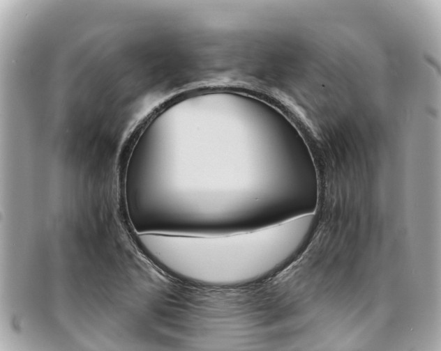 X0000095521270200712140901