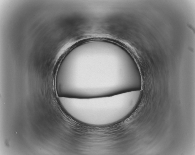 X0000095521271200712140901