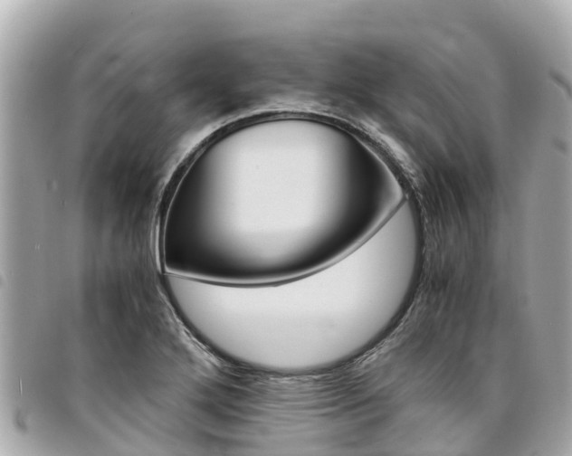 X0000095521272200712140901