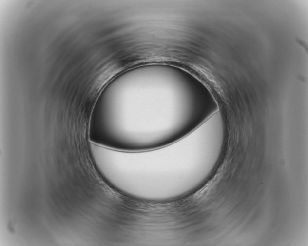 X0000095521273200712140901