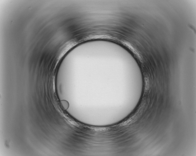 X0000095521274200712140901