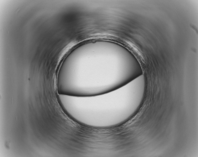 X0000095521275200712140901