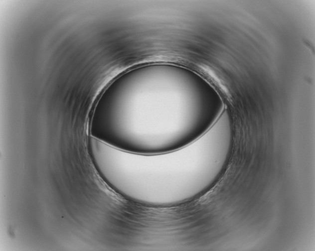 X0000095521276200712140901